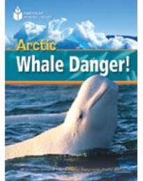 NGR : ARCTIC WHALE DANGER A2 (+ DVD)