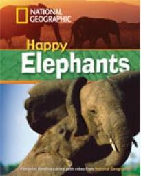 NGR : HAPPY ELEPHANTS A2 (+ DVD)