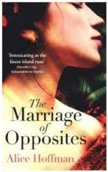 THE MARRIAGE OF OPPOSITES  Paperback