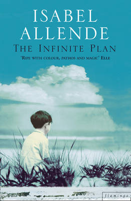 THE INFINITE PLAN Paperback B FORMAT