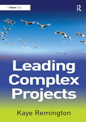 LEADING COMPLEX PROJECTS Paperback