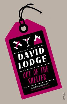OUT OF THE SHELTER Paperback