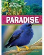 NGR : BIRDS IN PARADISE B1 (+ DVD)