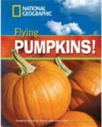 NGR : FLYING PUMPKINS B1 (+ DVD)