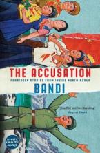 THE ACCUSATION : FORBIDDEN STORIES FROM FROM INSIDE NORTH KOREA Paperback