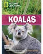 NGR : KOALAS SAVED C1 (+ DVD)