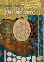 ESSENTIAL CELL BIOLOGY Paperback
