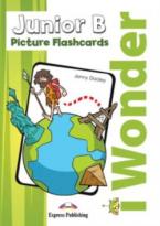 iWONDER JUNIOR B FLASHCARDS