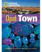 NGR : OPAL TOWN B2 (+ DVD)