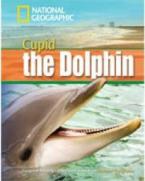 NGR : CUPID THE DOLPHIN B1 (+ DVD)