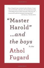 MASTER HAROLD AND THE BOYS Paperback