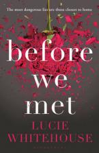 BEFORE WE MET Paperback