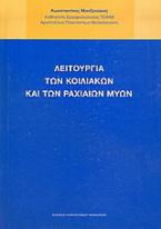 Λειτουργία των κοιλιακών και των ραχιαίων μυών