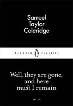 LITTLE BLACK CLASSICS : WELL,THEY ARE GONE, AND HERE MUST I REMAIN Paperback