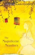 VINTAGE CLASSICS : THE MAGNIFICENT MEAULNES Paperback B FORMAT