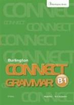 CONNECT B1 TEACHER'S BOOK  GRAMMAR D CLASS