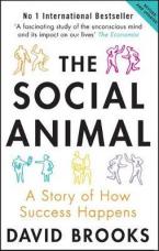 The Social Animal : A Story of How Success Happens