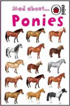 LADYBIRD MINI : MAD ABOUT... PONIES HC MINI