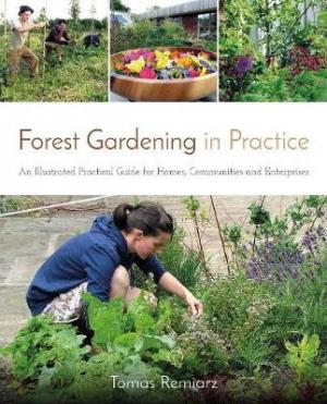 FORSET GARDENING IN PRACTICE : AN ILLUSTARTING PRACTICAL GUIDE FOR HOMES, COMMUNITIES AND ENTERPRISES Paperback