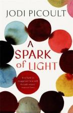 A SPARK OF LIGHT : THE FEARLESS NEW NOVEL FROM THE NUMBER ONE BESTSELLER AUTHOR Paperback