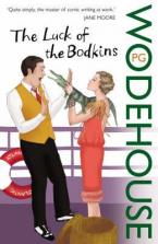 THE LUCK OF THE BODKINS Paperback