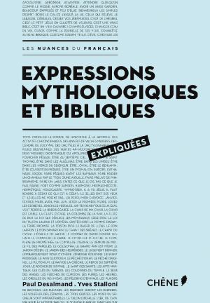 EXPRESSIONS MYTHOLOGIQUES ET BIBLIQUES EXPLIQUES Paperback