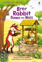 USBORNE FIRST READING 2: BRER RABBIT DOWN THE WELL HC