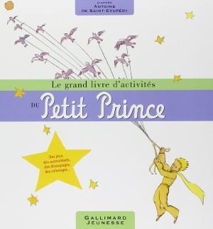 LE GRAND LIVRE D'ACTIVITES DU PETIT PRINCE HC
