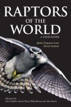 RAPTORS OF THE WORLD A FIELD GUIDE Paperback