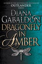 OUTLANDER 2: DRAGONFLY IN AMBER Paperback