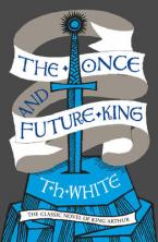 ONCE & FUTURE KING Paperback