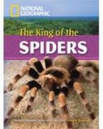 NGR : THE KING OF THE SPIDERS C1 (+ DVD)