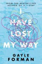 I HAVE LOST MY WAY  Paperback