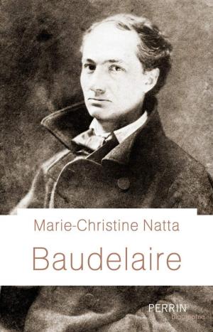 BAUDELAIRE  POCHE B FORMAT