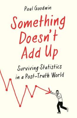 SOMETHING DOSEN'T ADD UP Paperback