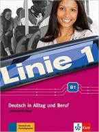 LINIE 1 B1 INTESIVTRAINER