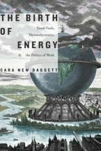 The Birth of Energy : Fossil Fuels, Thermodynamics, and the Politics of Work