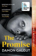 THE PROMISE Paperback