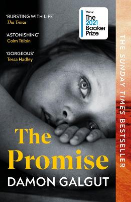 THE PROMISE Paperback