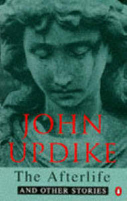 THE AFTERLIFE Paperback B FORMAT