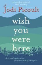 WISH YOU WERE HERE Paperback