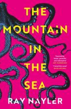 THE MOUNTAIN IN THE SEA Paperback