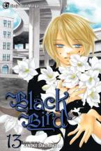 BLACK BIRD 13 PA