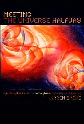 MEETING THE UNIVERSE HALFWAY Paperback