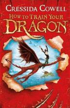 HOW TO TRAIN YOUR DRAGON Paperback