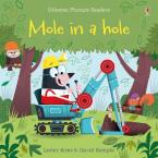 PHONICS READERS: MOLE IN A HOLE