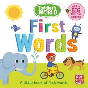 FIRST WORDS : A LITTLE BOARD BOOK OF FIRST WORDS WITH A FOLD-OUT SURPRISE HC BBK
