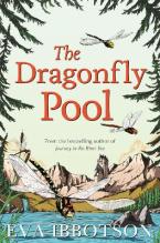 THE DRAGONFLY POOL  Paperback