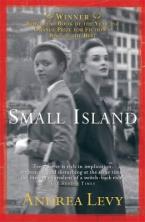 SMALL ISLAND Paperback A FORMAT