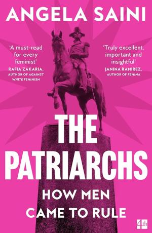 THE PATRIARCHS : HOW MEN CAME TO RULE Paperback